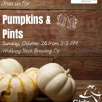 Halloween event in Houston